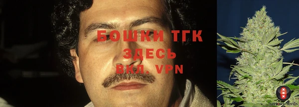 дмт Губаха