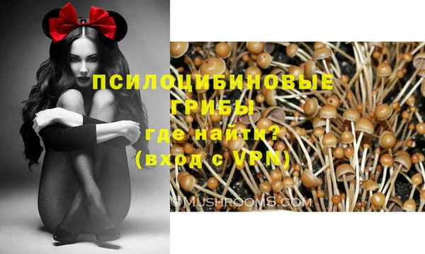 соль курить ск Рославль