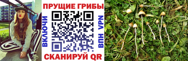 МЕГА как войти  Озёры  Галлюциногенные грибы мухоморы 